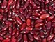 dark red kidney bean